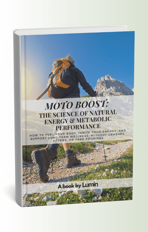 Ebook MOTO Boost